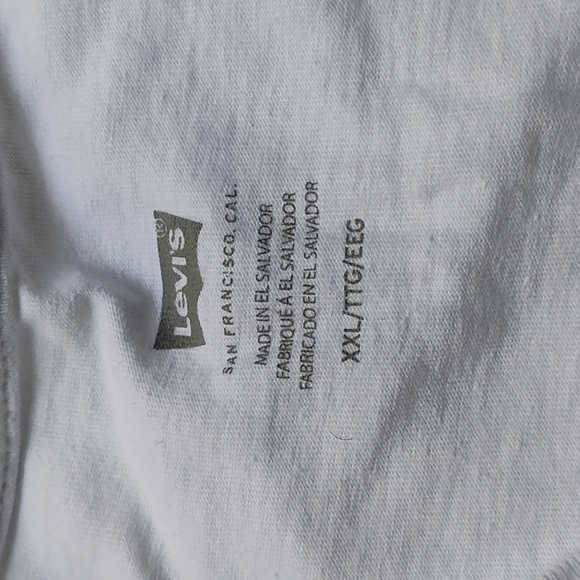 Levi - Picture 2 of 4